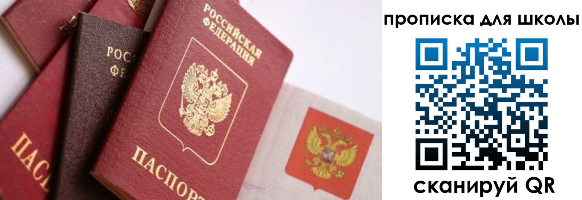 прописка поиск в Лисках